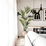 Sack-time Fashion Boutique 1 & 2 Apartment
